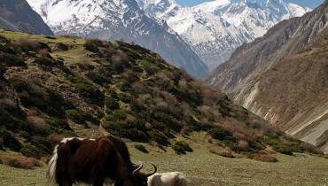 Manaslu Region Trek